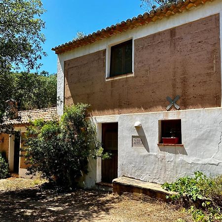 Casas Da Cerca Guest House Troviscais Bagian luar foto