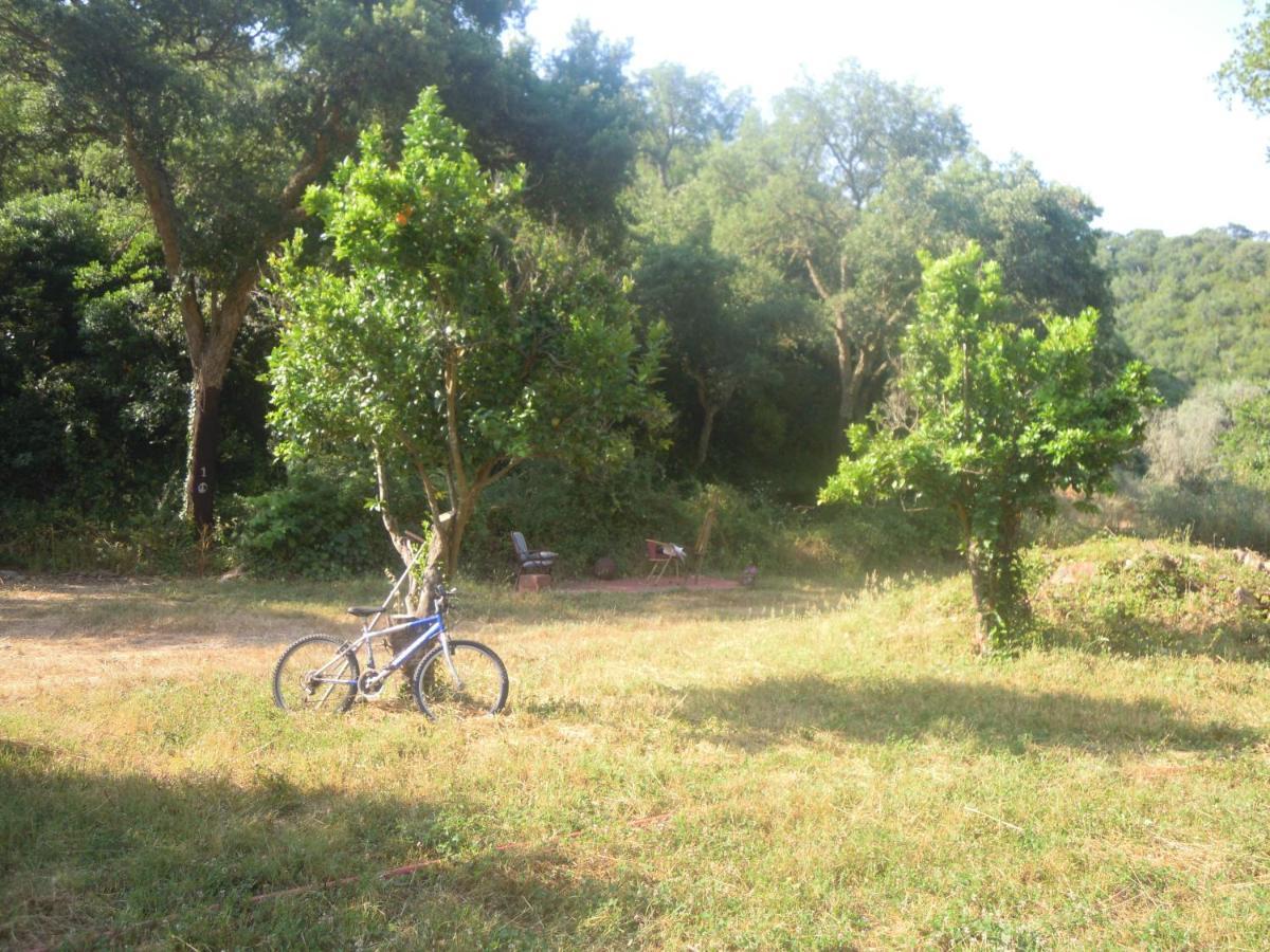 Casas Da Cerca Guest House Troviscais Bagian luar foto