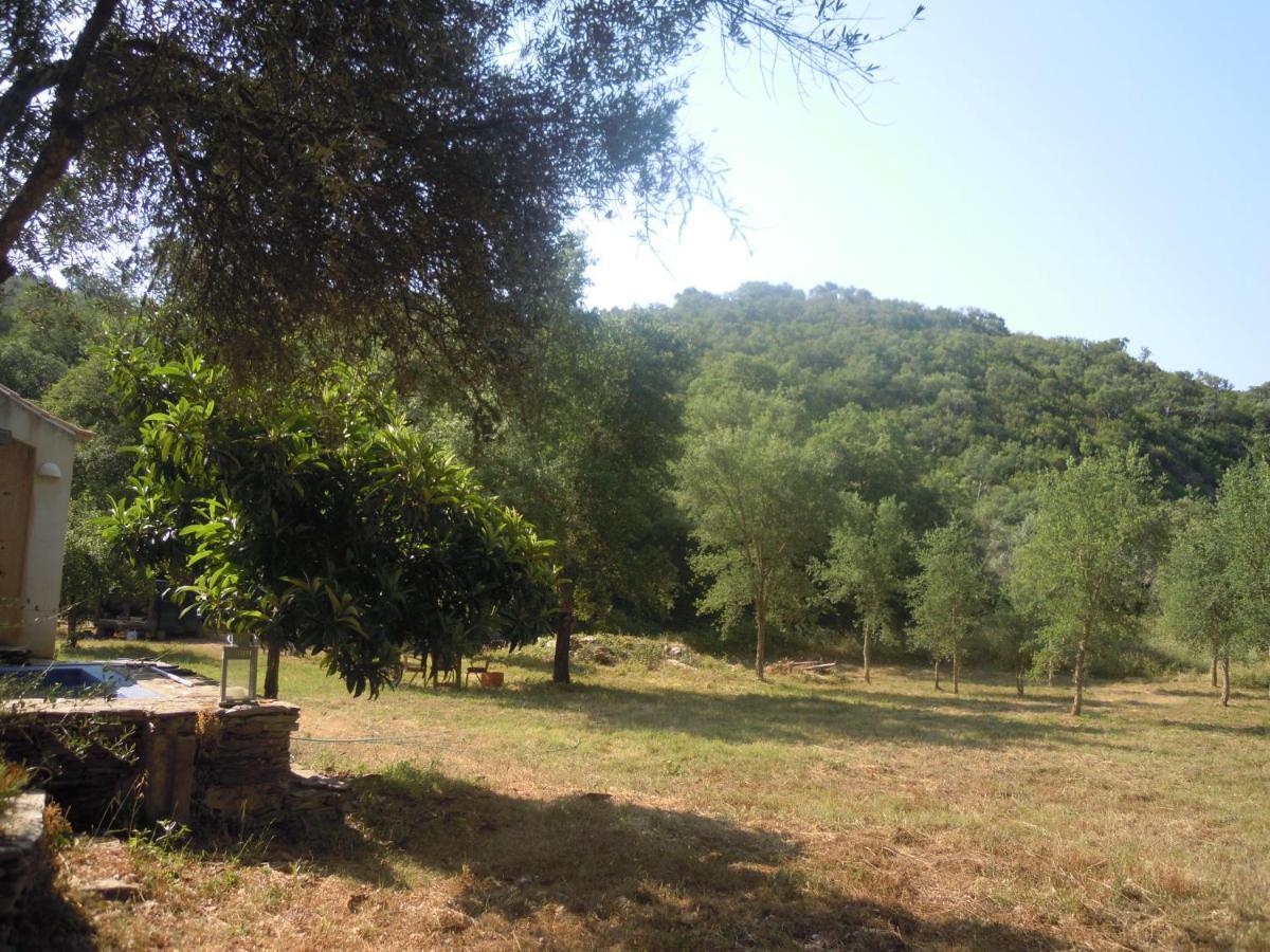 Casas Da Cerca Guest House Troviscais Bagian luar foto