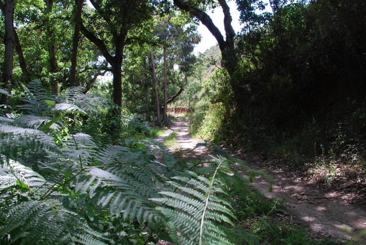 Casas Da Cerca Guest House Troviscais Bagian luar foto