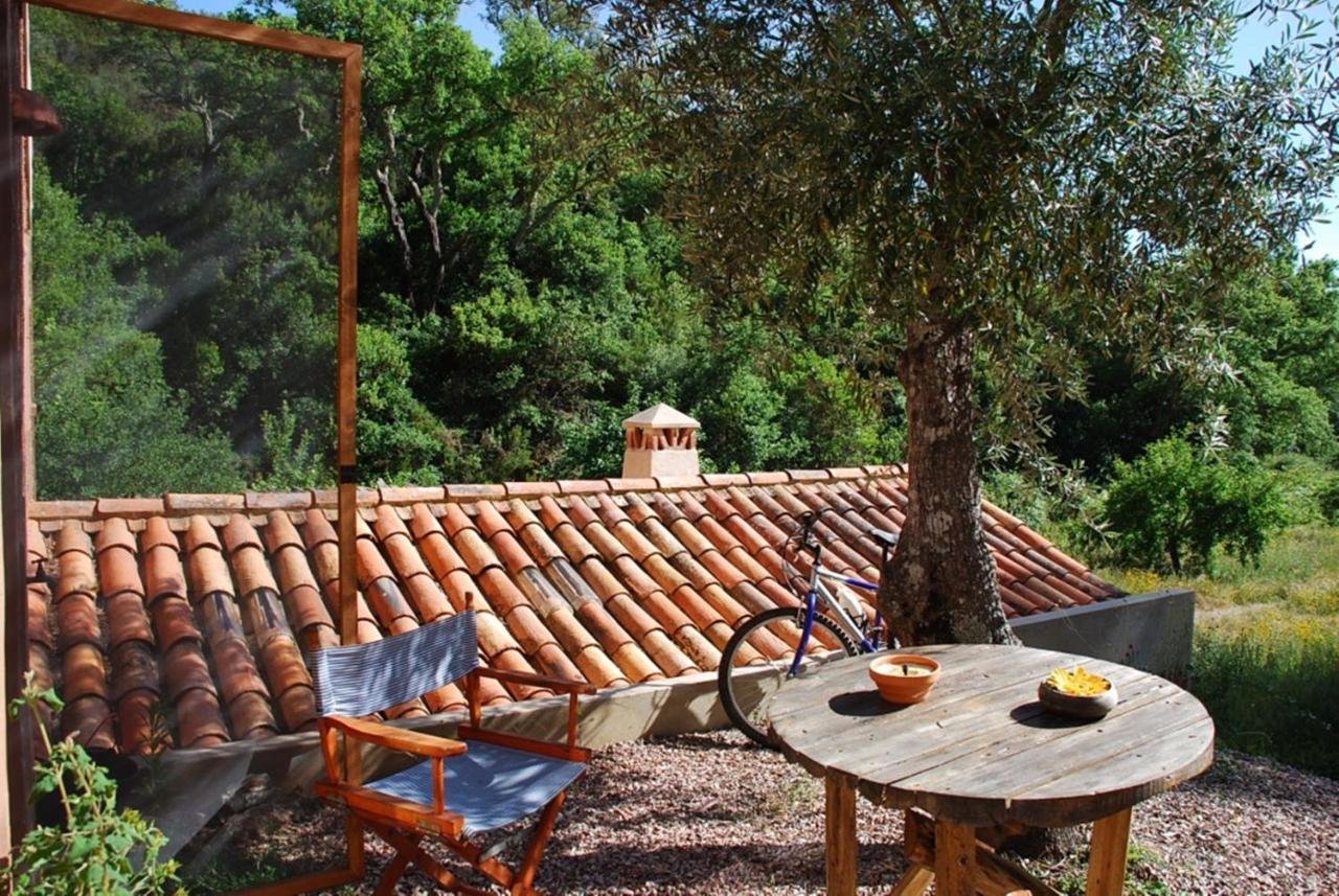 Casas Da Cerca Guest House Troviscais Bagian luar foto